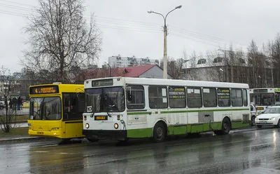 МАЗ-104.Х25 в896ну - Нижневартовск - Фото №246239 - Твой Транспорт