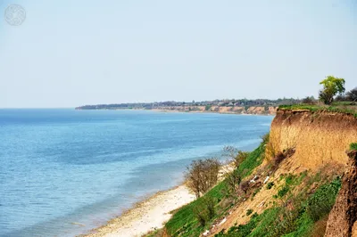 Стоит ли ехать на Азовское море в августе, выясняем с Куданаморе.ру