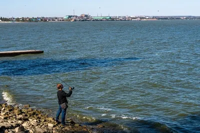 Азовское море поглощает донские поселки - МК Ростов-на-Дону