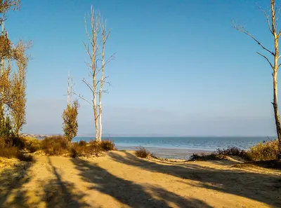 Зачем ехать на Азовское море: пляжи и экскурсии