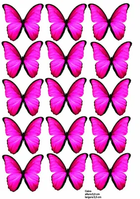 розовые бабочки для распечатки//букет из бабочек | Бумажные бабочки,  Фотоподарки, Букет