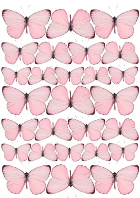 бабочки розовые #бабочкитагуи #розовыебабочки #бабочкикрасивые | Бумажные  бабочки, Трафаретные надписи, Бесплатные трафареты