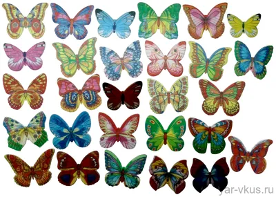 В Европе на 36% сократилась популяция 17 видов бабочек ⋆ НИА \"Экология\" ⋆
