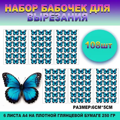 Крылья бабочки танцевальные взрослый размер купить в kaskad-prazdnik.ru за  3499 руб.