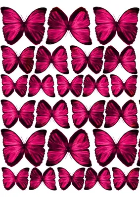 Наклейка Космические бабочки мини 14х21 см купить недорого в  интернет-магазине товаров для декора Бауцентр