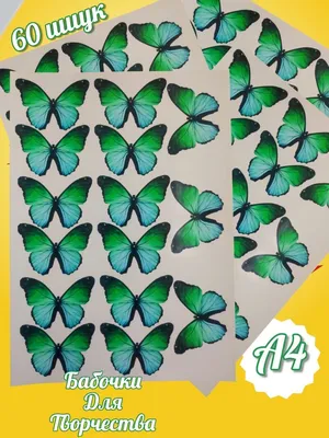 Cipmarket.ru - товары для кондитера - Съедобная картинка Бабочки 4 , лист  А4. Вафельная/сахарная картинка.