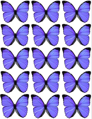 Бабочки для букета | Modelo de borboleta, Fotos de borboletas coloridas,  Como fazer buque