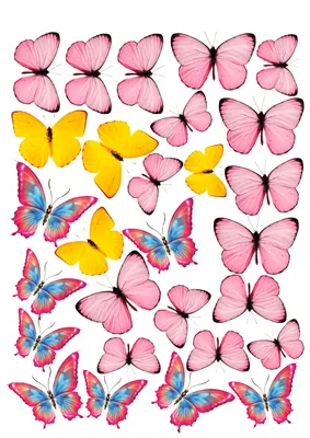 Самоочищающиеся крылья бабочки| Случайность или замысел?
