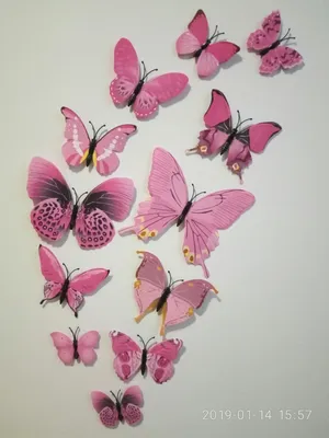 Бабочки в украшении дома - Идеи декора с бабочками для интерьера своими  руками | Прокурсы.онлайн статьи по Интерьер