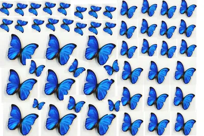 Декор настенный \"Бабочки\" 7,5 x 10,5 см, белый , (набор 5 шт) (7422171) -  Купить по цене от 235.00 руб. | Интернет магазин SIMA-LAND.RU