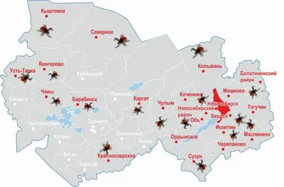 В Новосибирской области наградили волонтёров «Молодой гвардии» | 30.12.2023  | Баган - БезФормата