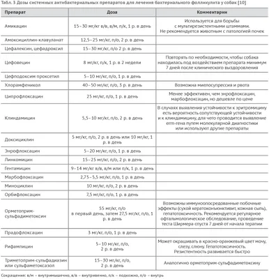 Бактериальный фолликулит у собак / Canine bacterial folliculitis