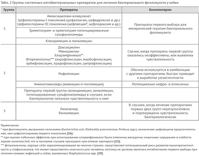 Фолликулит собак - презентация онлайн