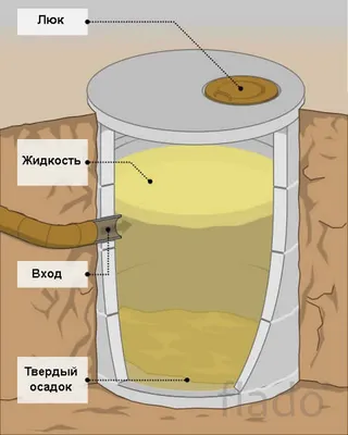 Царство Бактерии