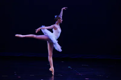 ballerina - Wiktionary, the free dictionary