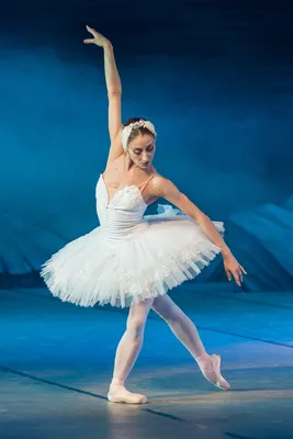 young ballerina in ballet pose classical dance Stock Photo | Adobe Stock