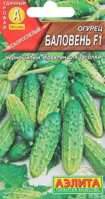 Ресторан Баловень по адресу Иртышская Набережная ул., 11, корп. 2 |  Забронировать столик