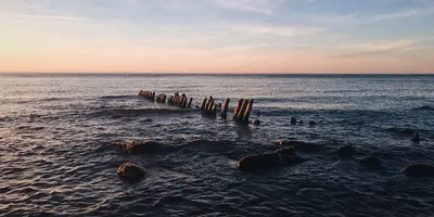 Балтийское море у берегов Калининградской области прогрелось до +21°С — РБК