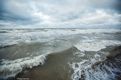 Балтийское море замерзло в Калининграде впервые за 25 лет ·