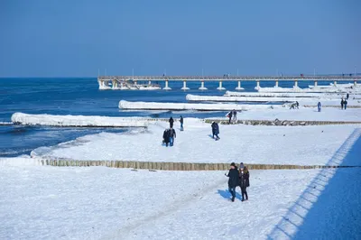 Балтийское море в районе Калининграда замерзло впервые за много лет -  Российская газета