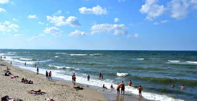 В Роспотребнадзоре объяснили, почему позеленела вода в Балтийском море -  РИА Новости, 22.07.2022