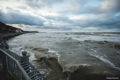 В Роспотребнадзоре объяснили, почему позеленела вода в Балтийском море -  РИА Новости, 22.07.2022