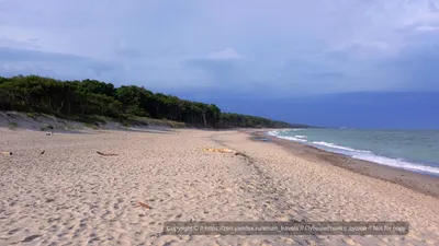 5 лучших курортов на Балтийском море | Ассоциация Туроператоров