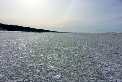 Балтийское море в районе Калининграда замерзло впервые за много лет -  Российская газета