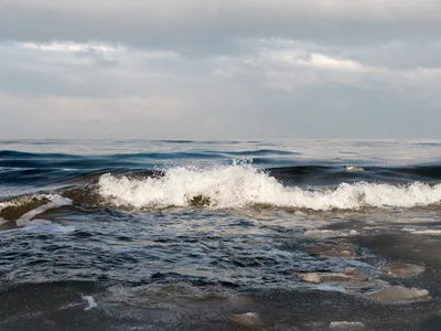 Балтийское Море. Фотография, картинки, изображения и сток-фотография без  роялти. Image 31727428