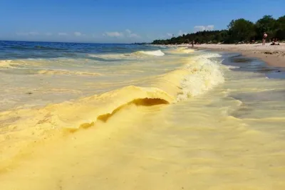 Балтийское море замерзло впервые за много лет