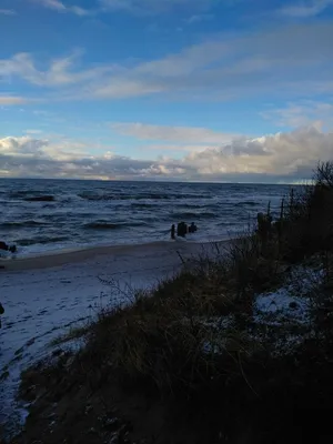 Балтийское Море И Побережье Данцига В Польше — стоковые фотографии и другие  картинки Балтийское море - Балтийское море, Польша, Пляж - iStock