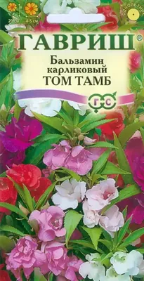 Семена Бальзамин Том Тамб, смесь - купить по выгодной цене | Урожайка