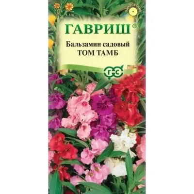 Бальзамин Том Тамб (семена,цветы) за 69 ₽ купить в интернет-магазине ПСБ  Маркет от Промсвязьбанка