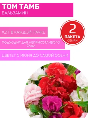 Бальзамин Том Тамб Ваше хозяйство 0,2 г — купить в Владимире в Петровиче:  цена за штуку, характеристики, фото