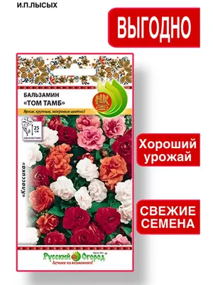 Семена РУССКИЙ ОГОРОД Цветы Бальзамин Том Тамб, смесь 0.2 г 702108 -  выгодная цена, отзывы, характеристики, фото - купить в Москве и РФ