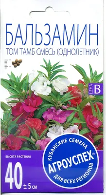 Бальзамин Том Тамб, смесь | Leda Agro