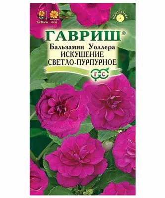 Купить семена Бальзамин Том Тамб от Гавриш, 3616