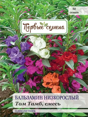 Семена бальзамин Первые семена Том тамб смесь 034169-1 1 уп. - купить в  Москве, цены на Мегамаркет