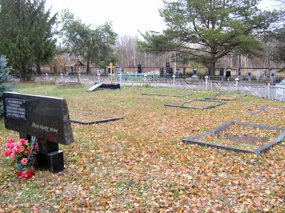Баныкинское кладбище Тольятти фото фото