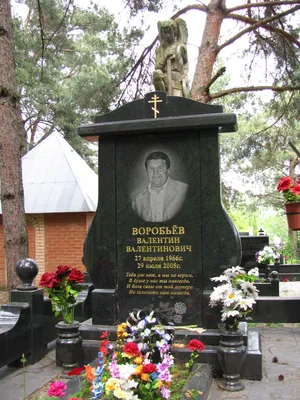 Файл:Dmitry Ogorodnikov grave - 6507.JPG — Википедия