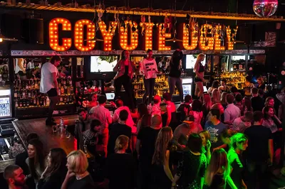 Бар Гадкий Койот / Coyote Ugly по адресу Баумана ул., 13 | Забронировать  столик