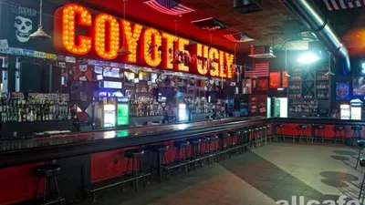 Бар Гадкий Койот Казань/Coyote Ugly Bar - легендарный американский бар в  Казани