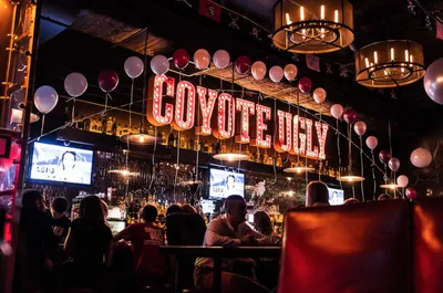 Coyote... - Coyote Ugly Moscow/ Бар \"Гадкий Койот\" в Москве