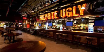 Места, похожие на Бар Гадкий Койот (Coyote Ugly) на улице Арбат - ТоМесто  Москва