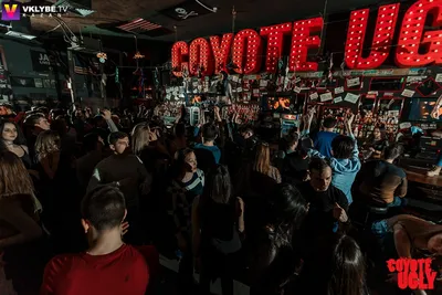 Coyote Ugly Moscow/ Бар \"Гадкий Койот\" в Москве - Эй, студенты, готовитесь  к новому учебному году? Мы-то того готовимся вас принять 🤗 Каждый четверг,  а также 3 и 4 сентября, для вас