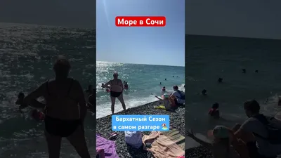 Пляж «Бархатные сезоны», Адлер. Отели рядом, фото, видео, как добраться,  часы работы, цены - Туристер. Ру