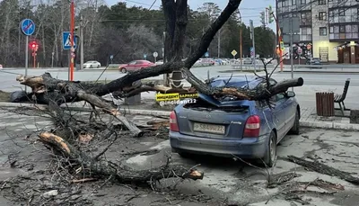 В Алтайском крае ураган будет господствовать весь день 19 ноября - Толк  19.11.2023