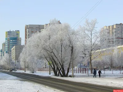 Зима накрыла Барнаул. Фоторепортаж