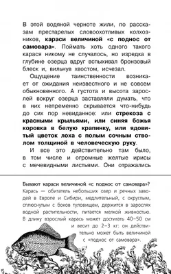 Барсучий нос акварель + тушь , …» — создано в Шедевруме