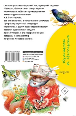 Паустовский К. Барсучий нос Внеклассное чтение РОСМЭН 28400540 купить за  199 ₽ в интернет-магазине Wildberries